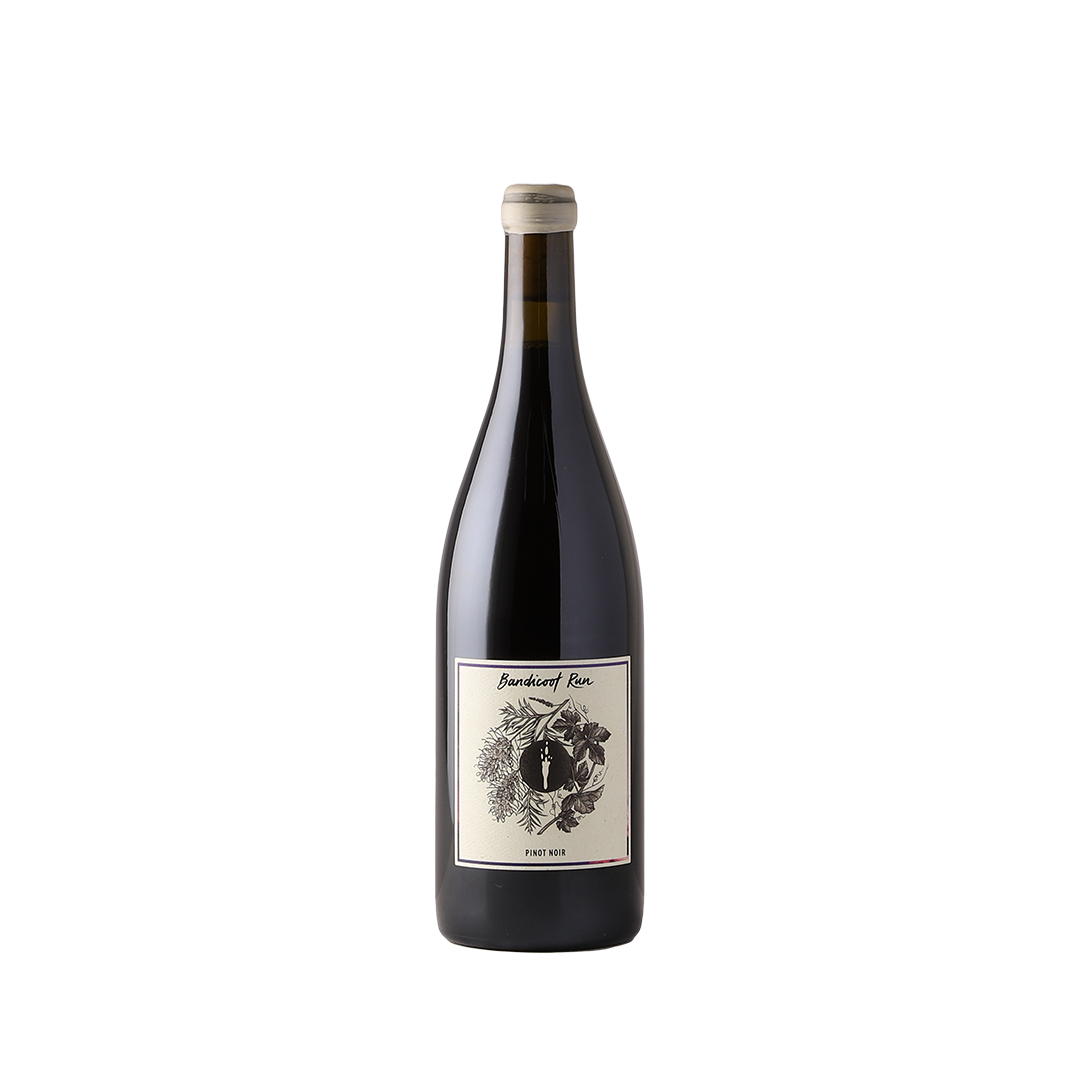 Bandicoot Run Pinot Noir 2021 - Red Wine | Blackhearts and Sparrows