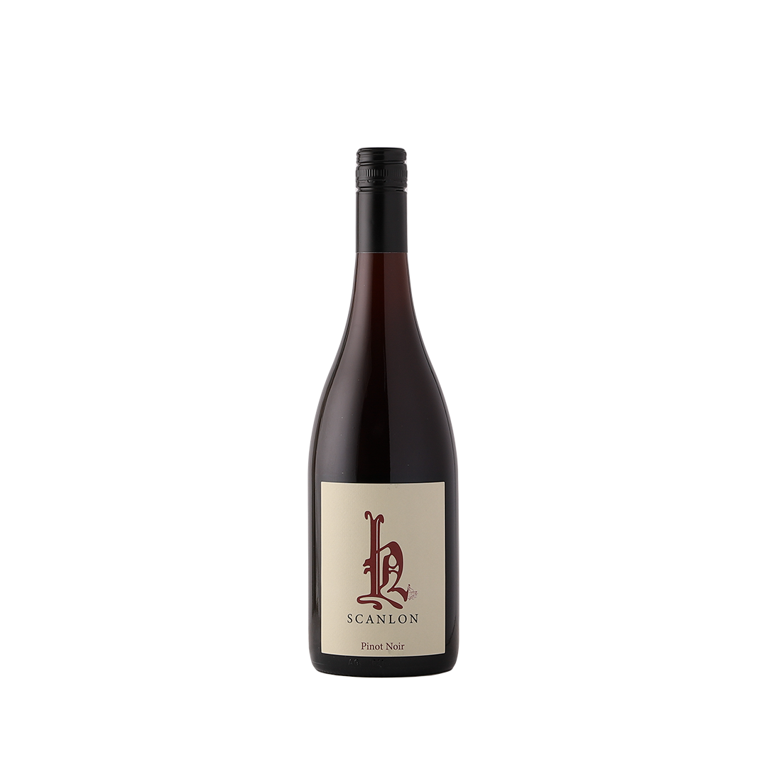 Scanlon Pinot Noir 2021 - Mixers / Soft Drinks / Water | Blackhearts ...